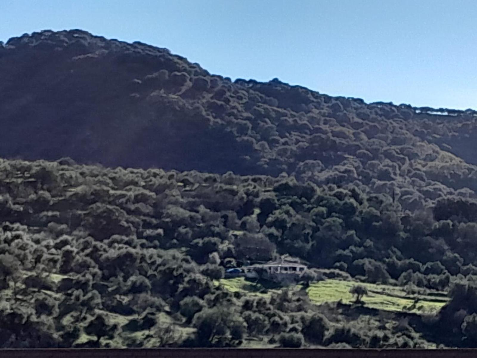 Villa El Higueron à Jimera de Líbar Extérieur photo